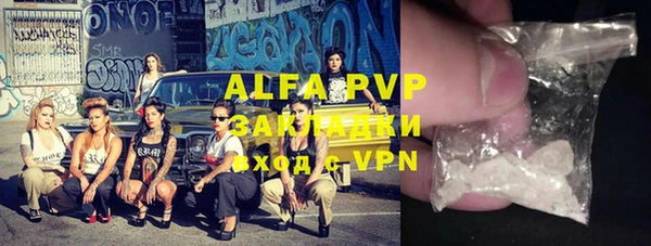 ПСИЛОЦИБИНОВЫЕ ГРИБЫ Коряжма