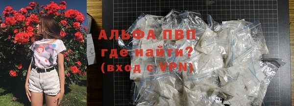 ПСИЛОЦИБИНОВЫЕ ГРИБЫ Коряжма