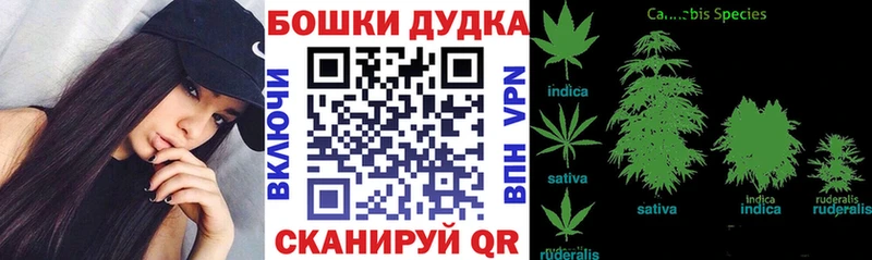 hydra вход  Шахунья  Шишки марихуана OG Kush 